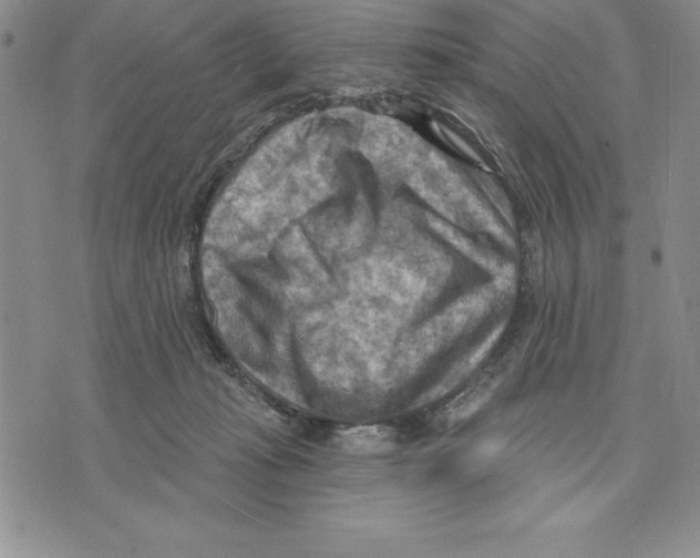 X0000075830269200610151527