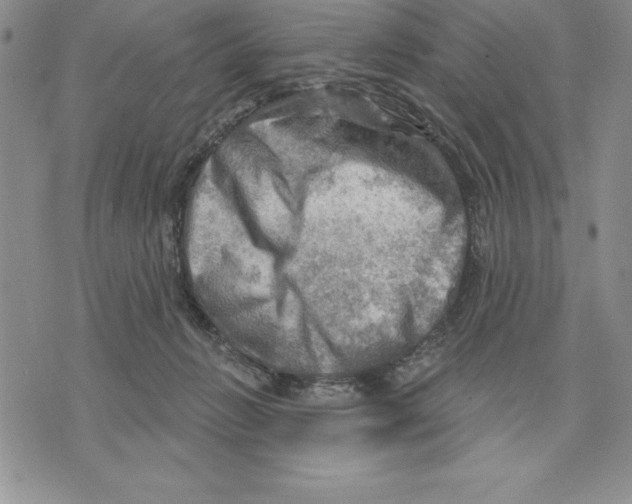 X0000075830270200610151527