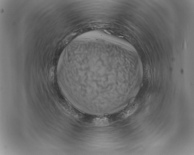 X0000075830271200610151527