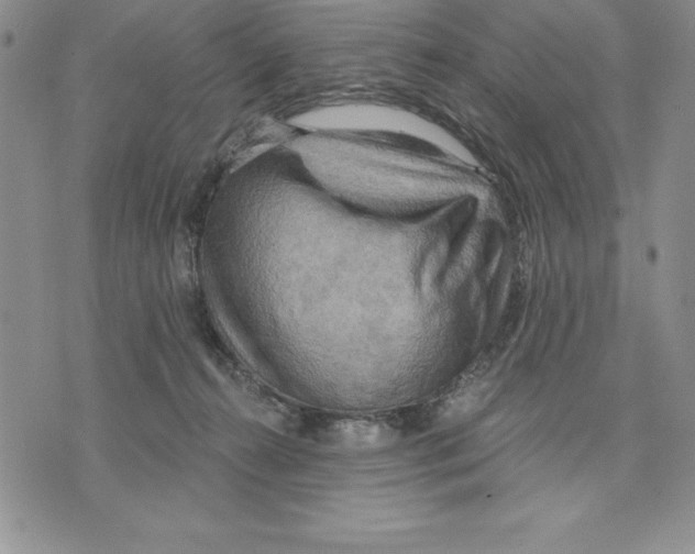 X0000075830272200610151527