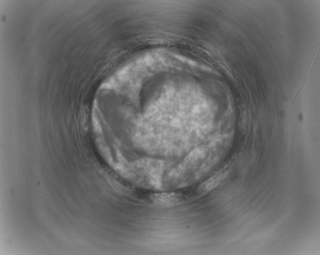 X0000075830273200610151527