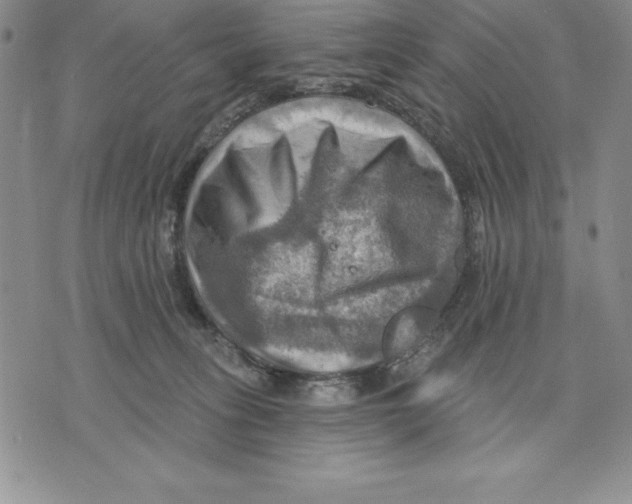 X0000075830275200610151527