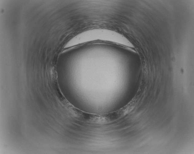 X0000075830276200610151527