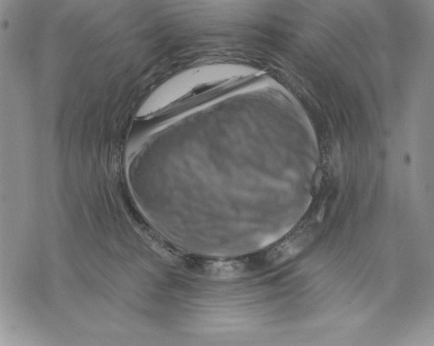 X0000075830277200610151527