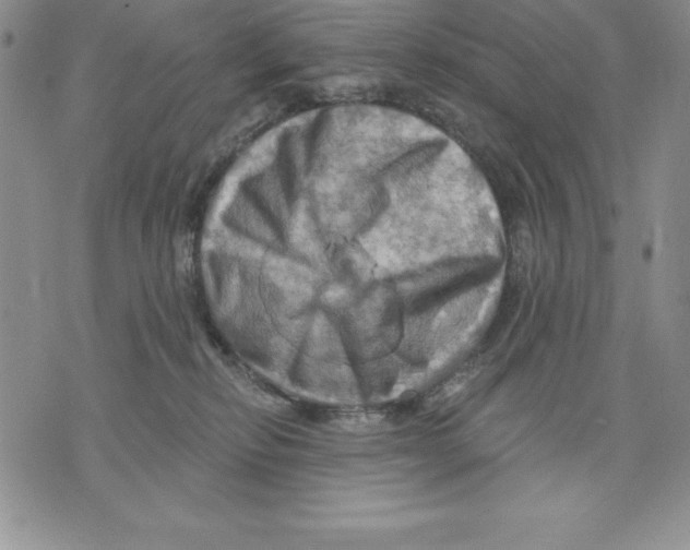 X0000075830278200610151527