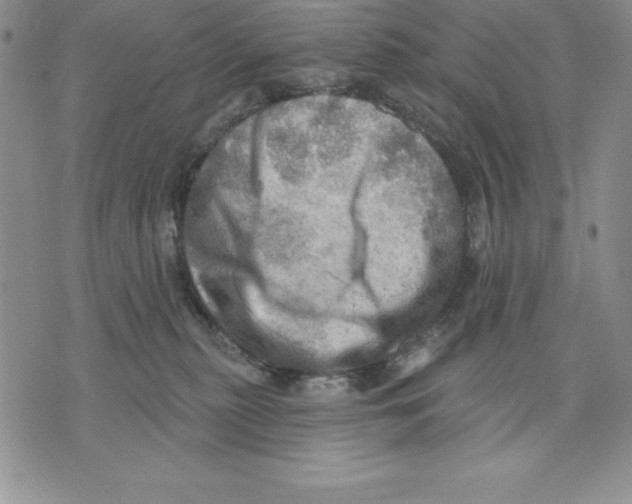 X0000075830279200610151527