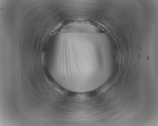 X0000075830280200610151527