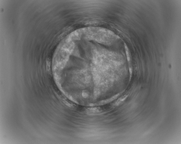 X0000075830281200610151527