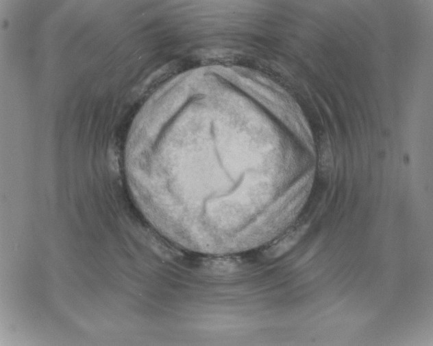 X0000075830282200610151527