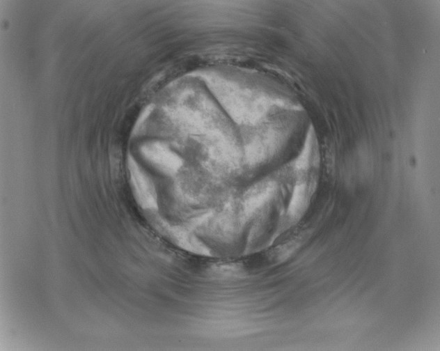 X0000075830283200610151528