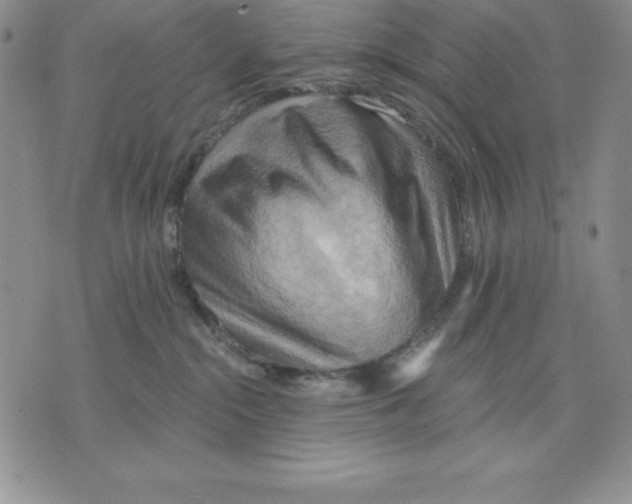 X0000075830284200610151528