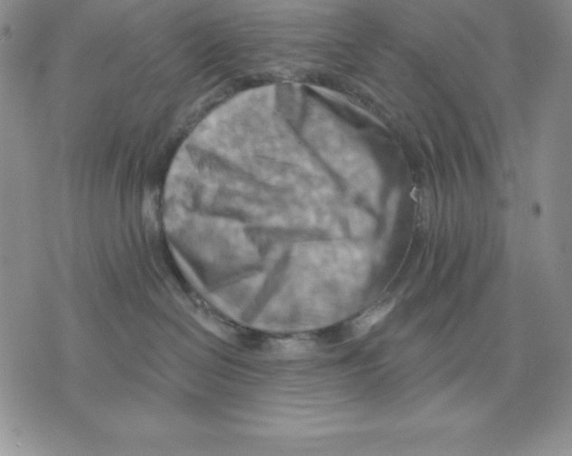 X0000075830286200610151528