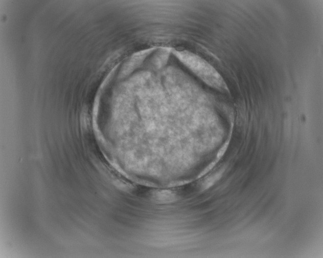 X0000075830287200610151528