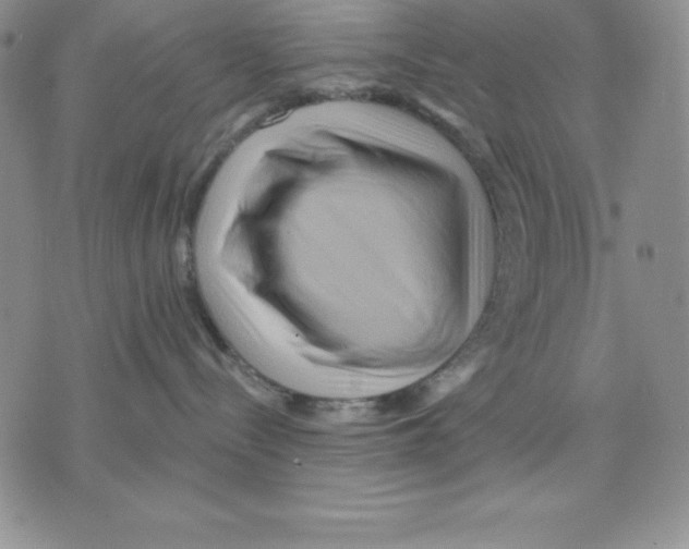 X0000075830288200610151528