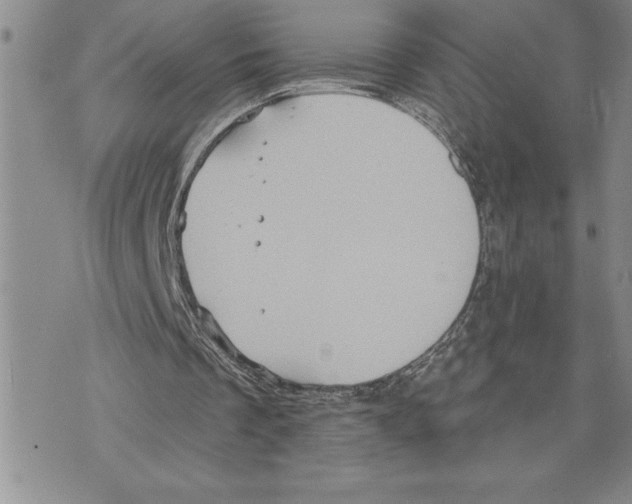 X0000075830289200610151527