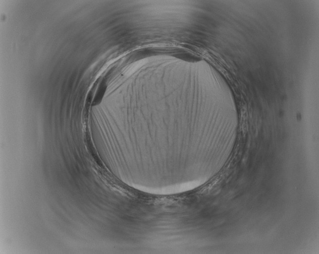 X0000075830290200610151527