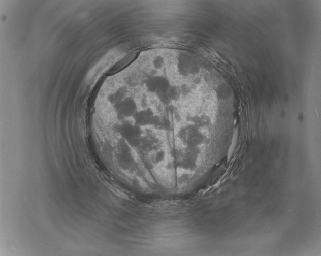 X0000075830291200610151527