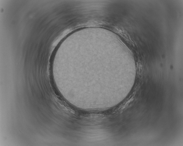 X0000075830292200610151527