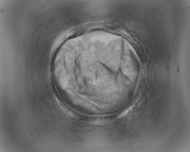 X0000075830293200610151527