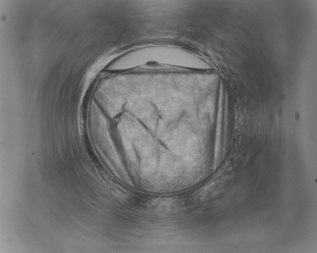 X0000075830294200610151527