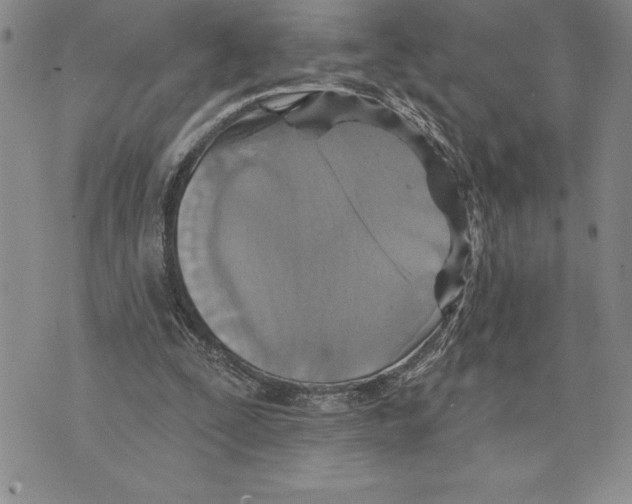 X0000075830295200610151527