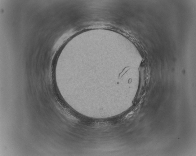 X0000075830296200610151527