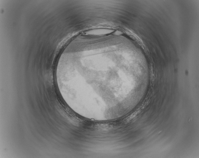 X0000075830298200610151527