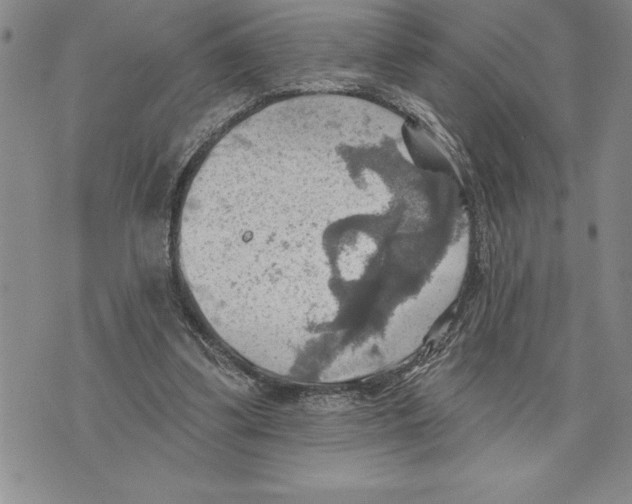 X0000075830299200610151527