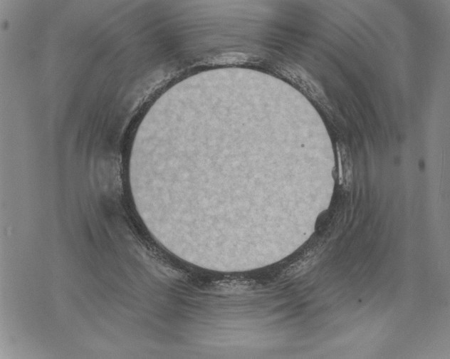 X0000075830300200610151527