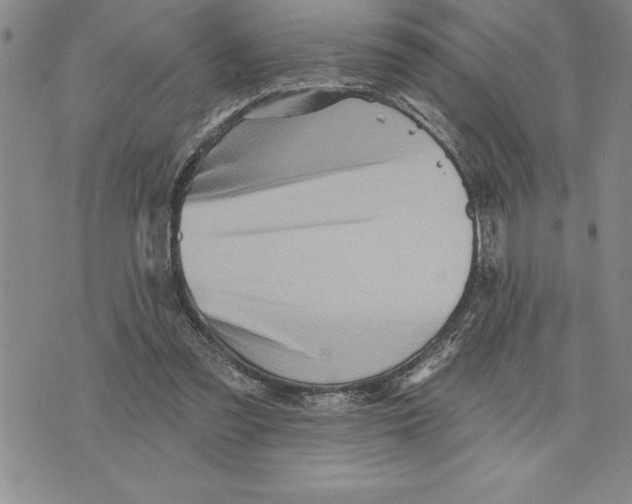 X0000075830301200610151527