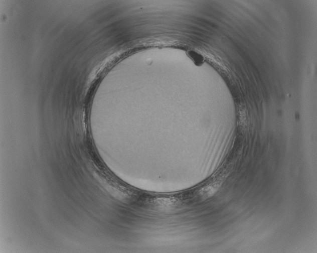 X0000075830302200610151527