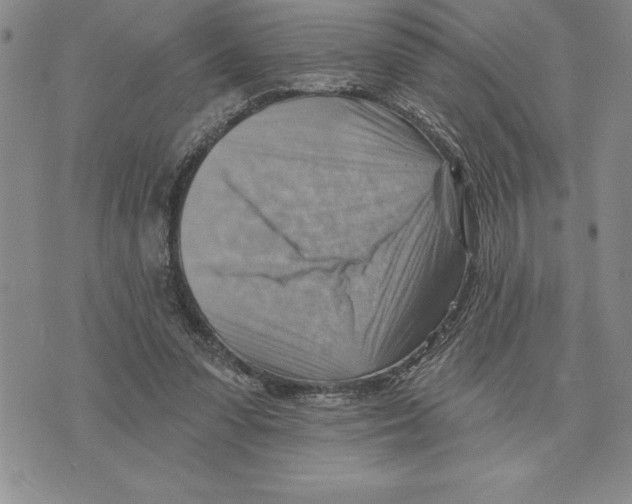 X0000075830303200610151527