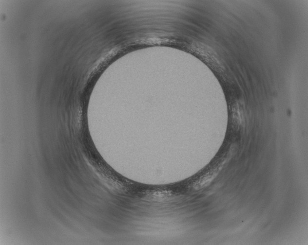 X0000075830304200610151527