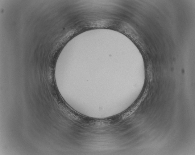 X0000075830305200610151527