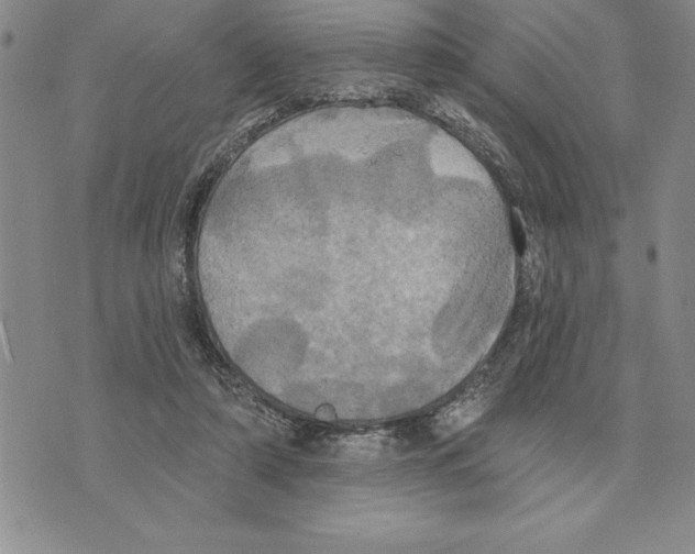 X0000075830306200610151527