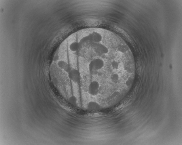 X0000075830307200610151527