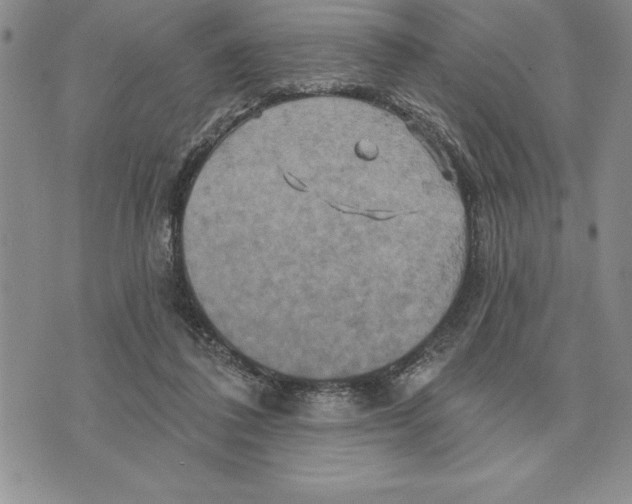 X0000075830308200610151527