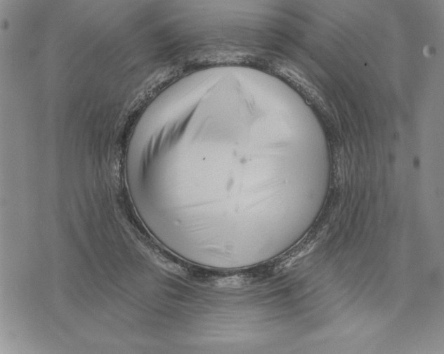 X0000075830309200610151526