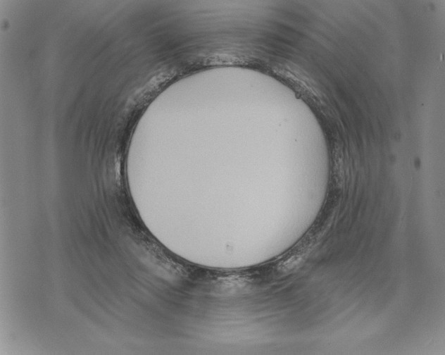 X0000075830310200610151526