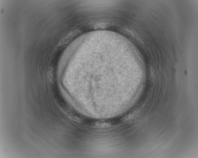 X0000075830311200610151526