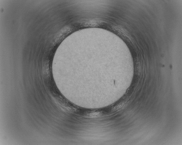 X0000075830312200610151526