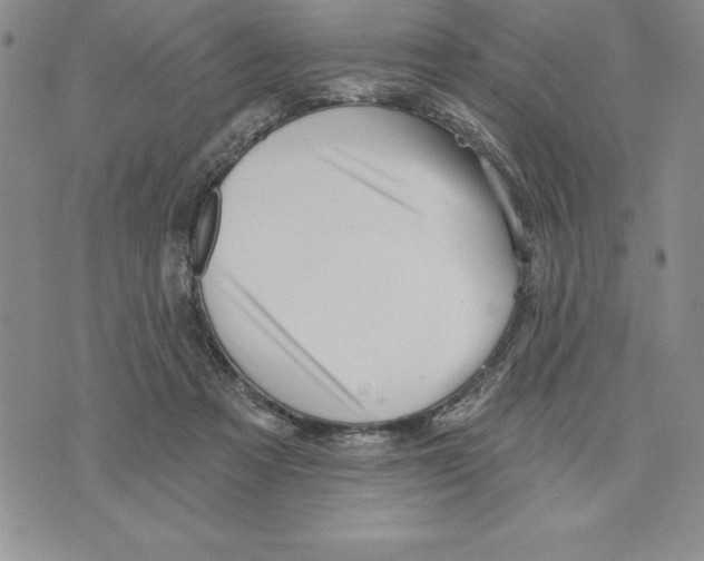 X0000075830313200610151526