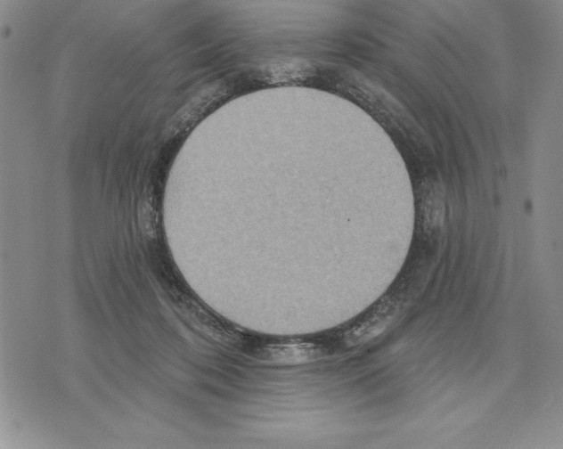 X0000075830316200610151526