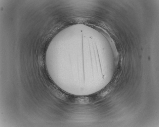 X0000075830317200610151526