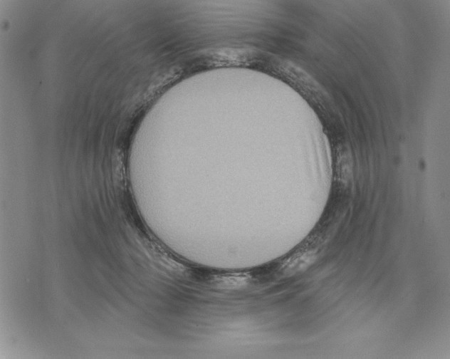 X0000075830318200610151526