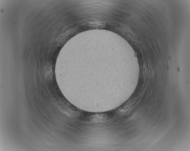 X0000075830320200610151526