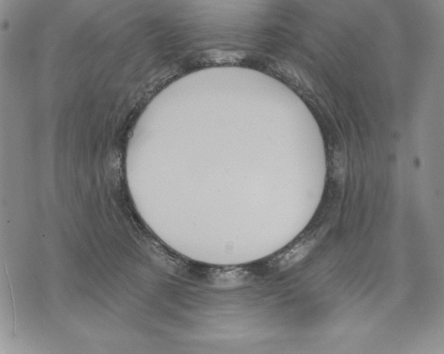 X0000075830321200610151526