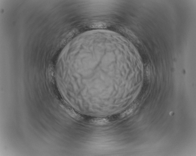 X0000075830322200610151526