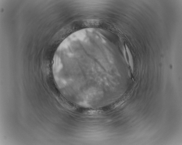 X0000075830323200610151526