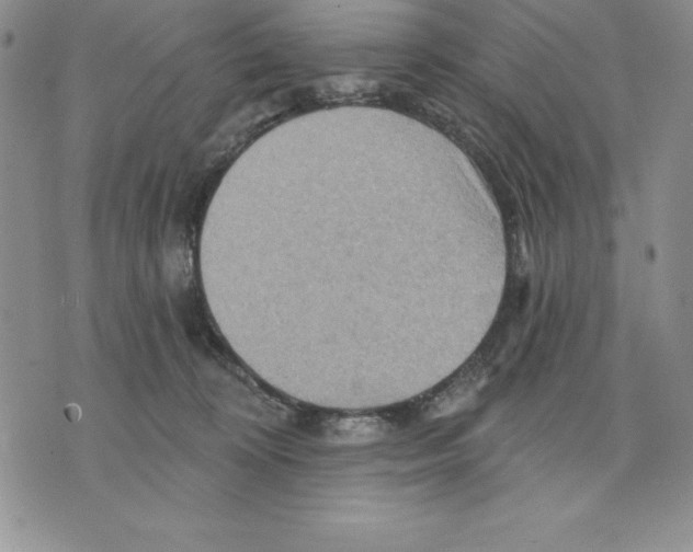 X0000075830324200610151526